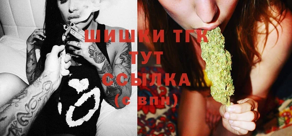 дмт Алзамай