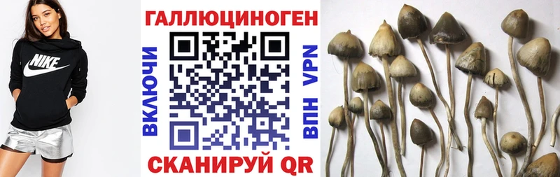 Псилоцибиновые грибы Cubensis  цены   KRAKEN маркетплейс  Удачный 
